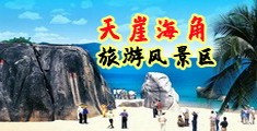 大鸡巴肏小骚屄的视频海南三亚-天崖海角旅游风景区