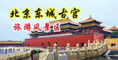 街拍大屁股老女人骆驼逼偷拍18P中国北京-东城古宫旅游风景区