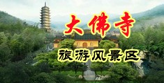 日逼逼视频播放中国浙江-新昌大佛寺旅游风景区